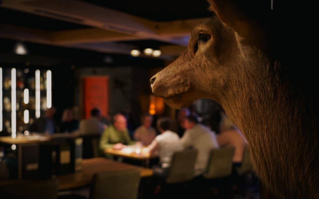 Verslag van de Whiskyproeverij met diner 24 januari in Oss